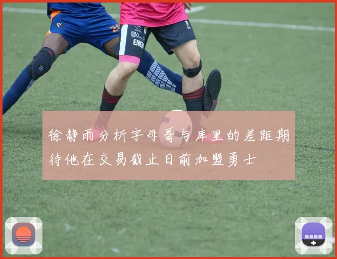 徐静雨分析字母哥与库里的差距期待他在交易截止日前加盟勇士