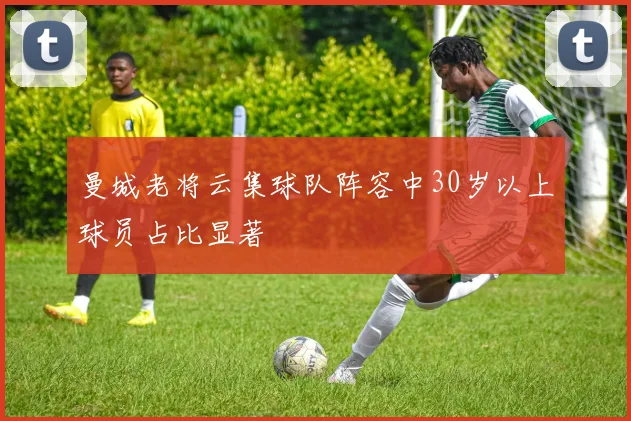 曼城老将云集球队阵容中30岁以上球员占比显著
